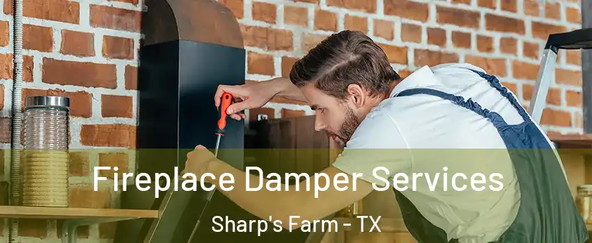Fireplace Damper Services Sharp's Farm - TX