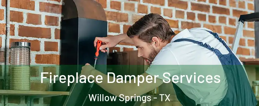 Fireplace Damper Services Willow Springs - TX
