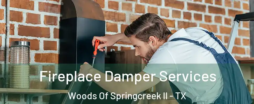 Fireplace Damper Services Woods Of Springcreek II - TX