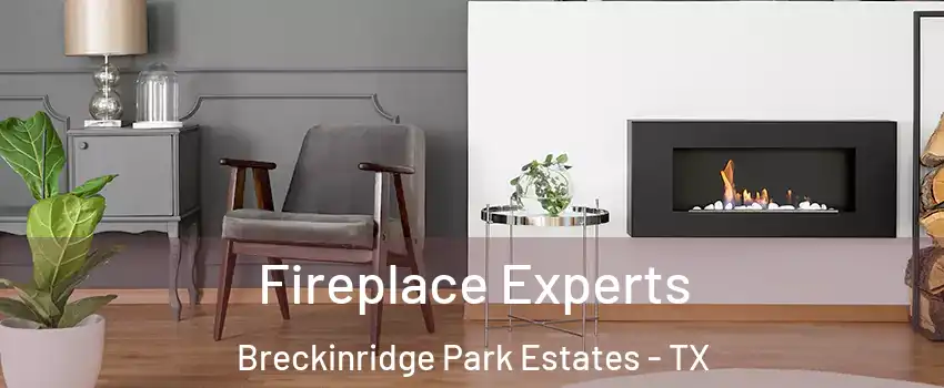 Fireplace Experts Breckinridge Park Estates - TX