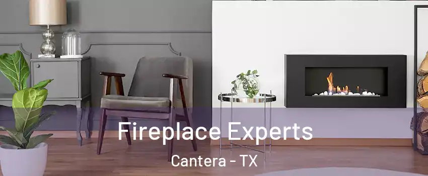 Fireplace Experts Cantera - TX