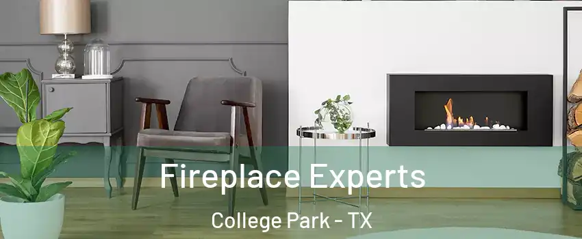 Fireplace Experts College Park - TX