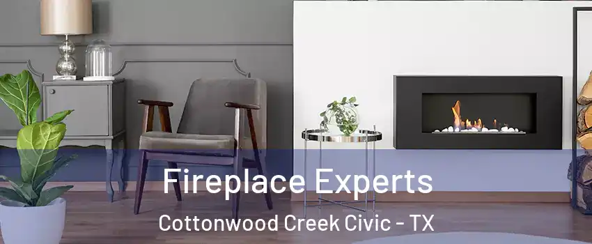 Fireplace Experts Cottonwood Creek Civic - TX