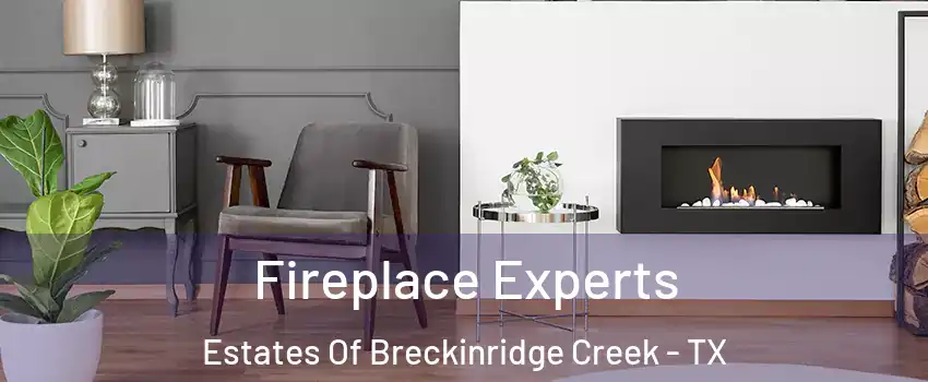 Fireplace Experts Estates Of Breckinridge Creek - TX