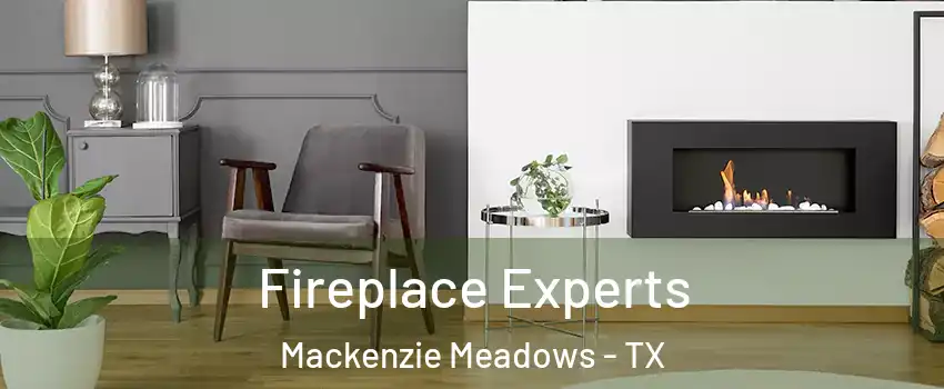 Fireplace Experts Mackenzie Meadows - TX