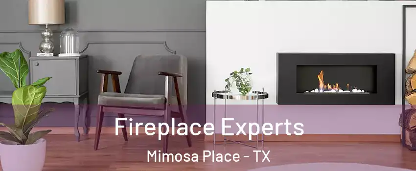 Fireplace Experts Mimosa Place - TX