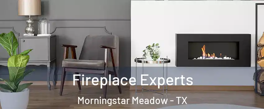 Fireplace Experts Morningstar Meadow - TX