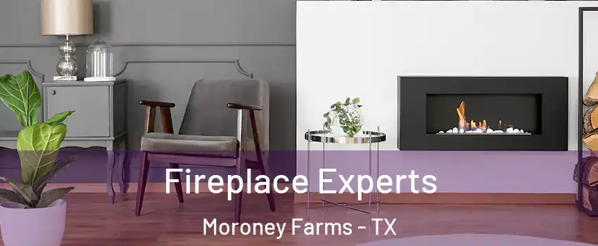 Fireplace Experts Moroney Farms - TX