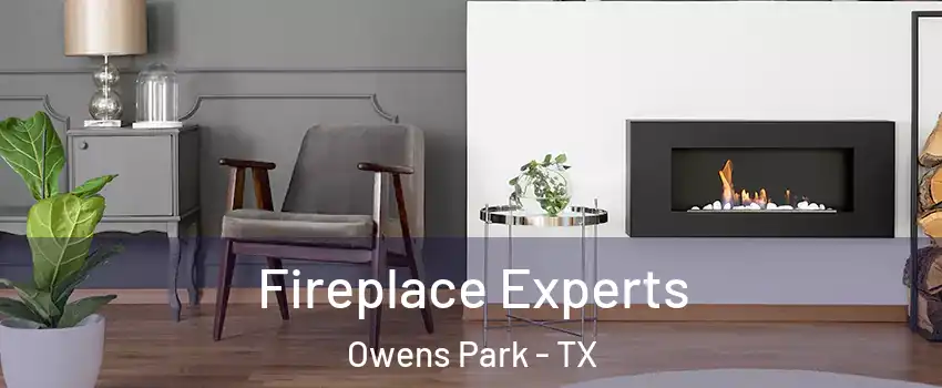 Fireplace Experts Owens Park - TX