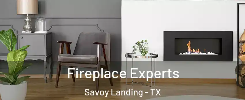 Fireplace Experts Savoy Landing - TX