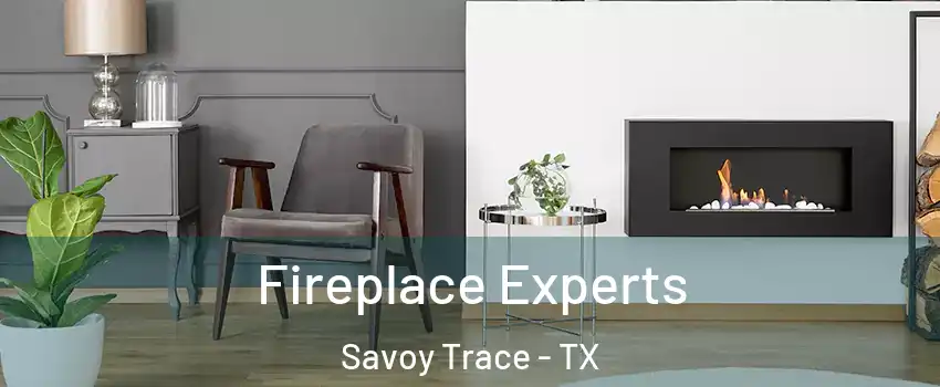 Fireplace Experts Savoy Trace - TX