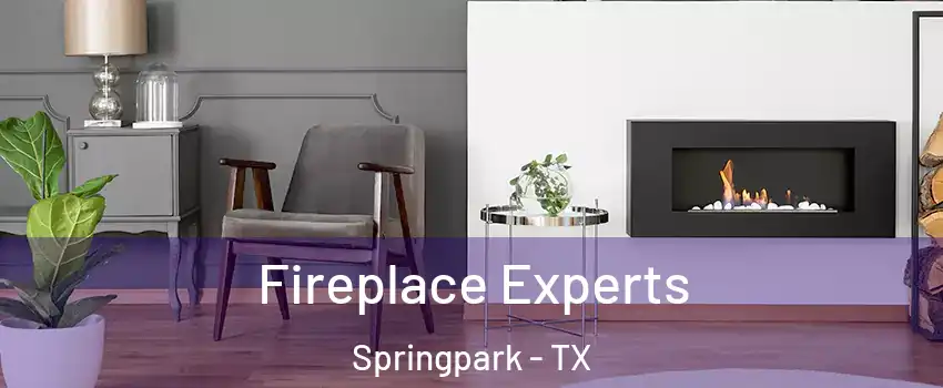 Fireplace Experts Springpark - TX