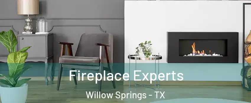 Fireplace Experts Willow Springs - TX