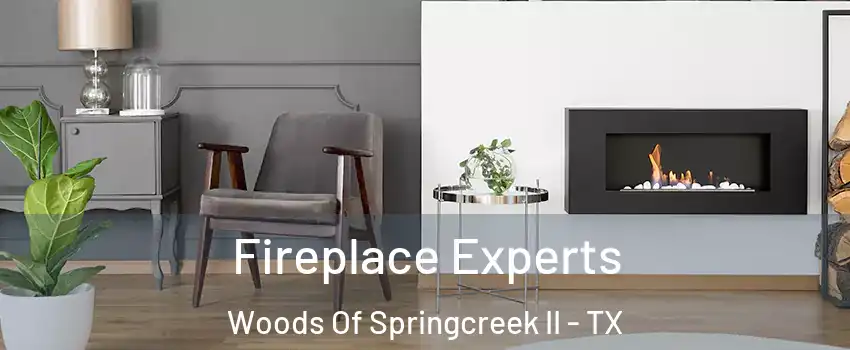 Fireplace Experts Woods Of Springcreek II - TX