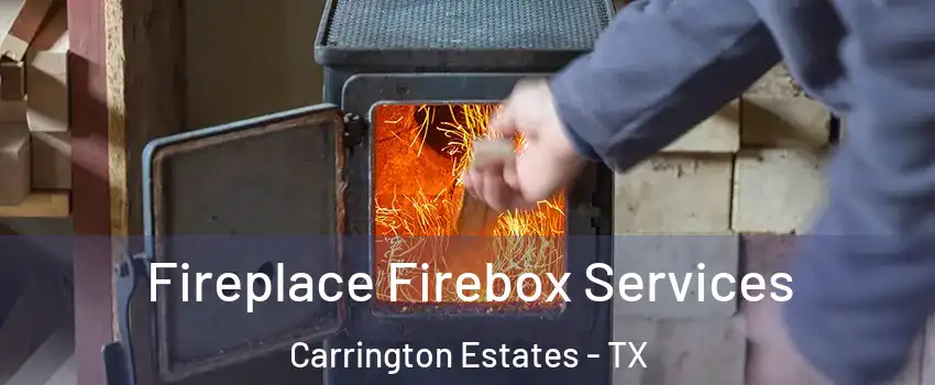 Fireplace Firebox Services Carrington Estates - TX