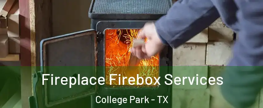 Fireplace Firebox Services College Park - TX