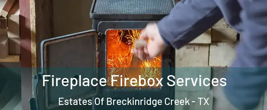 Fireplace Firebox Services Estates Of Breckinridge Creek - TX