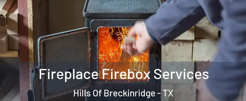 Fireplace Firebox Services Hills Of Breckinridge - TX