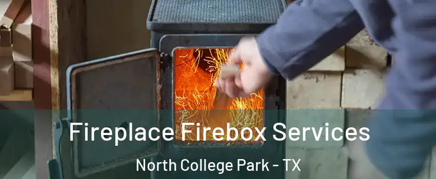 Fireplace Firebox Services North College Park - TX