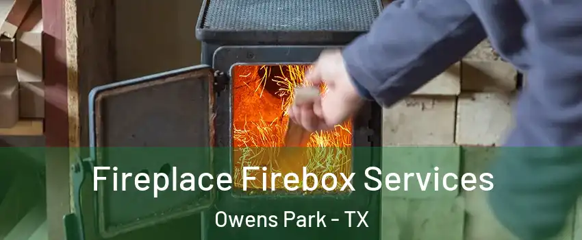 Fireplace Firebox Services Owens Park - TX