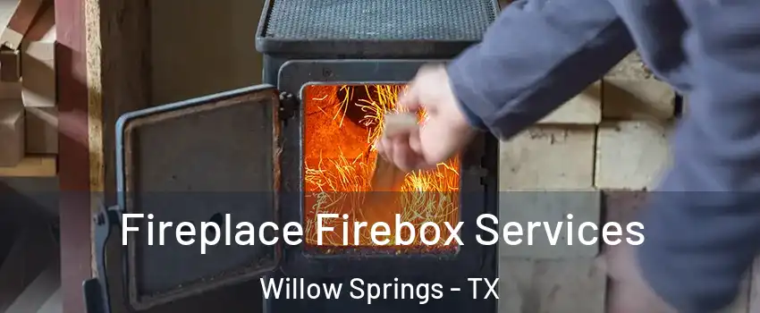 Fireplace Firebox Services Willow Springs - TX