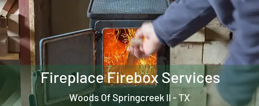 Fireplace Firebox Services Woods Of Springcreek II - TX