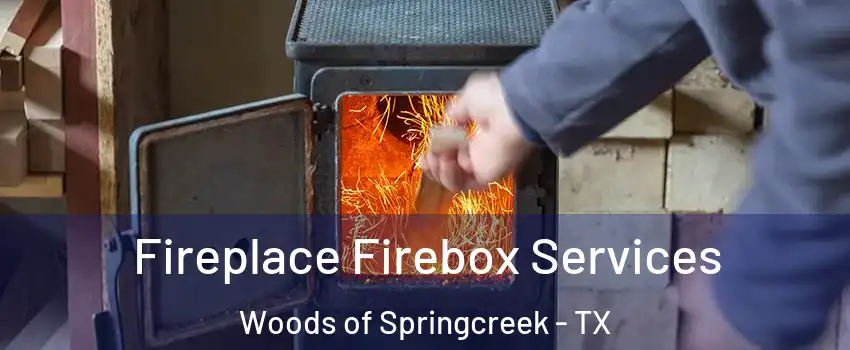 Fireplace Firebox Services Woods of Springcreek - TX