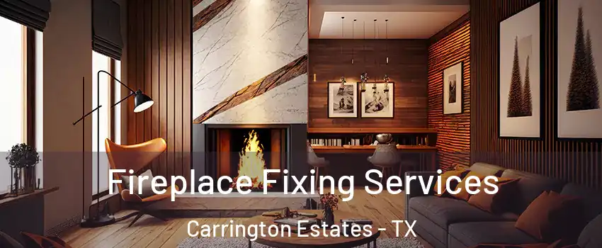 Fireplace Fixing Services Carrington Estates - TX