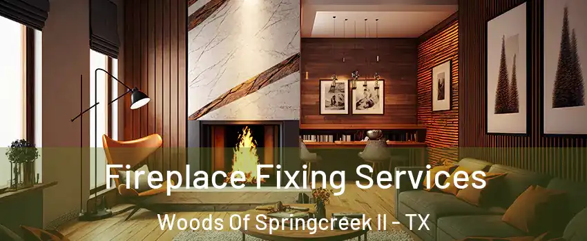Fireplace Fixing Services Woods Of Springcreek II - TX