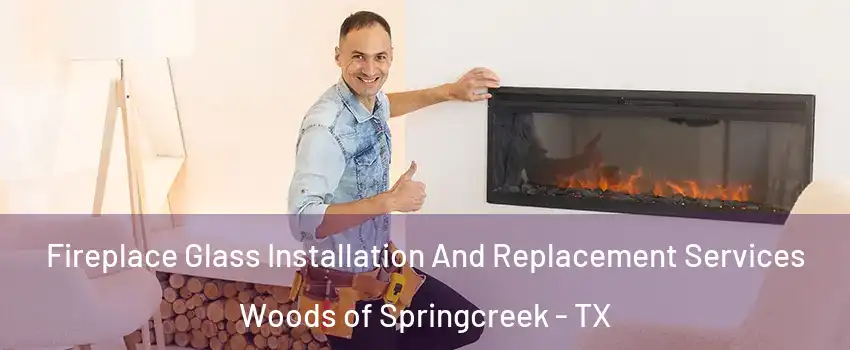 Fireplace Glass Installation And Replacement Services Woods of Springcreek - TX