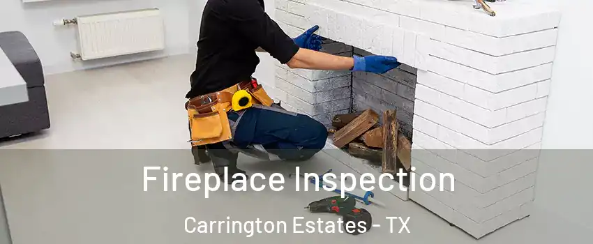 Fireplace Inspection Carrington Estates - TX