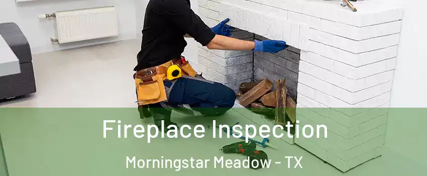 Fireplace Inspection Morningstar Meadow - TX