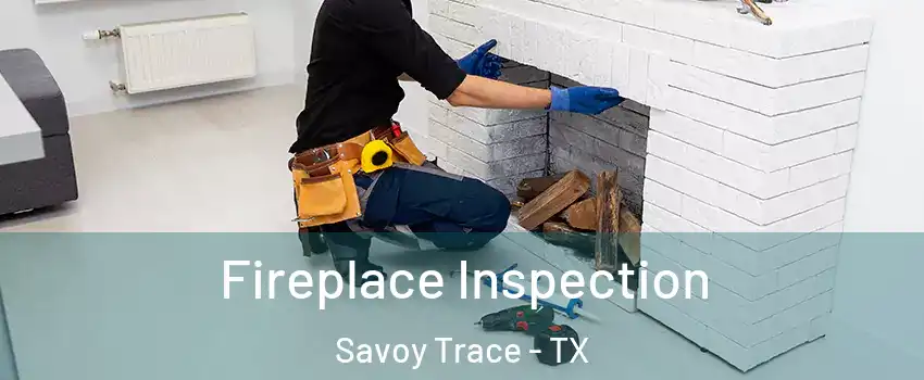 Fireplace Inspection Savoy Trace - TX