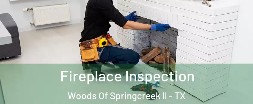 Fireplace Inspection Woods Of Springcreek II - TX