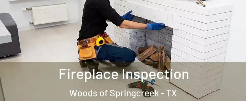 Fireplace Inspection Woods of Springcreek - TX