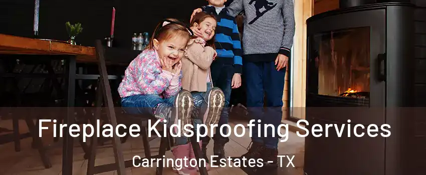 Fireplace Kidsproofing Services Carrington Estates - TX