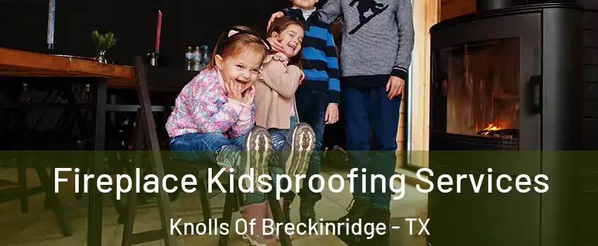 Fireplace Kidsproofing Services Knolls Of Breckinridge - TX