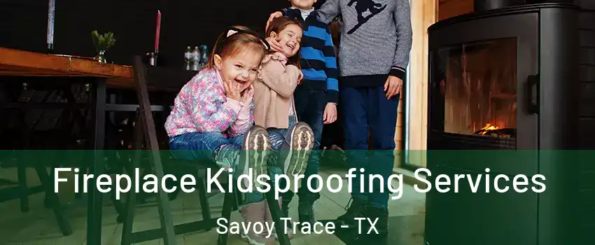 Fireplace Kidsproofing Services Savoy Trace - TX