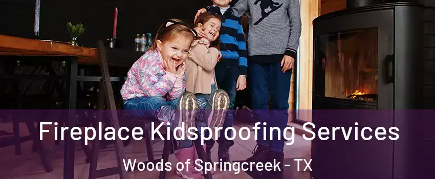 Fireplace Kidsproofing Services Woods of Springcreek - TX