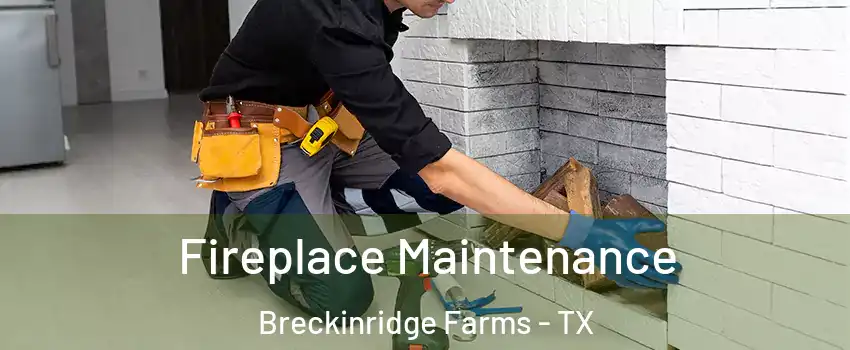 Fireplace Maintenance Breckinridge Farms - TX
