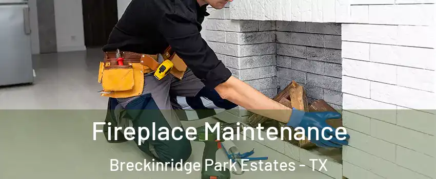Fireplace Maintenance Breckinridge Park Estates - TX