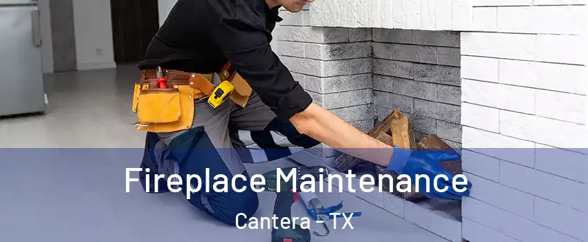 Fireplace Maintenance Cantera - TX