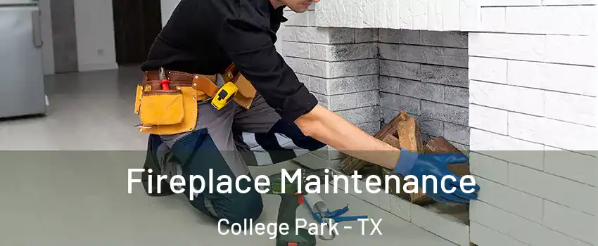 Fireplace Maintenance College Park - TX