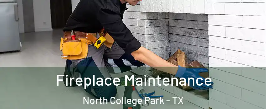 Fireplace Maintenance North College Park - TX
