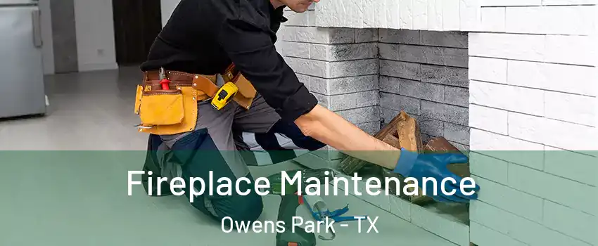 Fireplace Maintenance Owens Park - TX