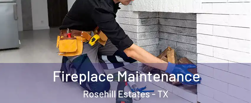 Fireplace Maintenance Rosehill Estates - TX