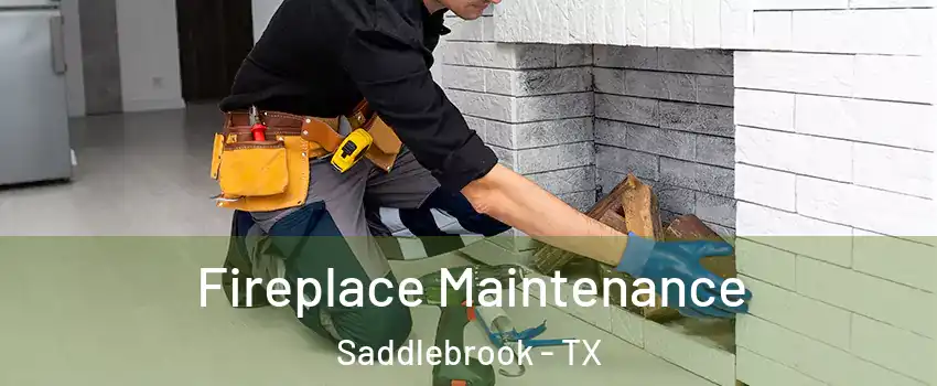 Fireplace Maintenance Saddlebrook - TX