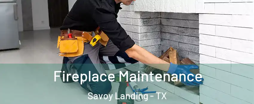 Fireplace Maintenance Savoy Landing - TX