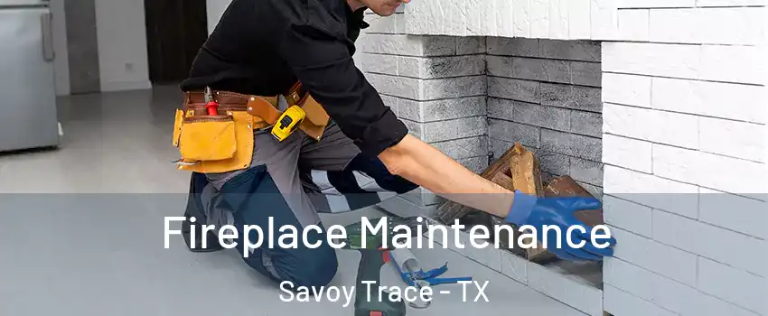 Fireplace Maintenance Savoy Trace - TX