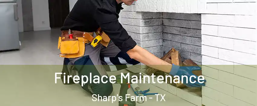 Fireplace Maintenance Sharp's Farm - TX